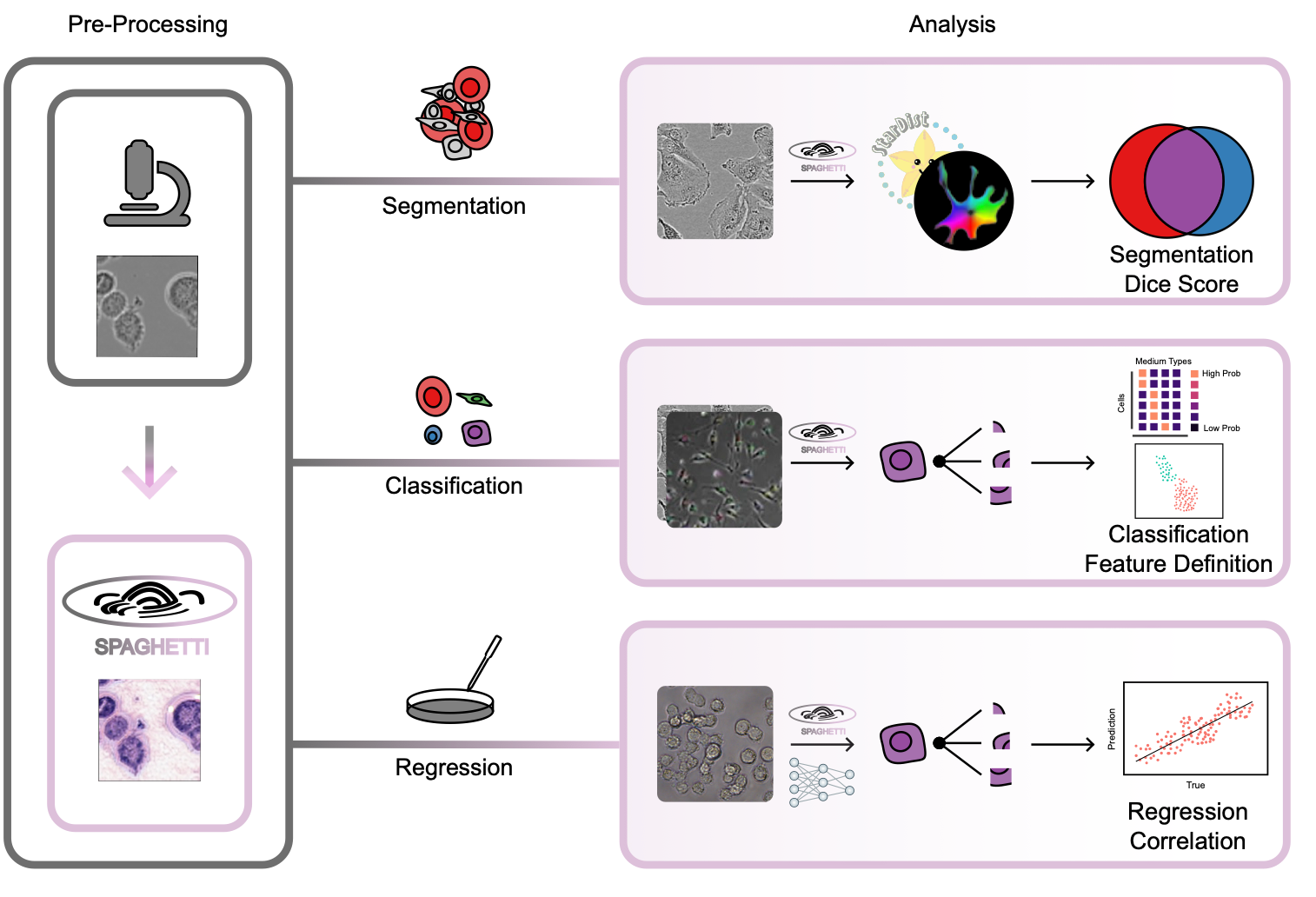 Leveraging massive H&E morphological models for phase contrast microscopy images with a generative deep learning approach
